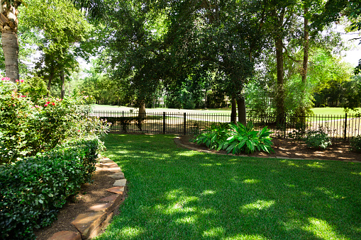 Nature:  Back yard overlooking golf course.  Flowerbeds and shrubs.  