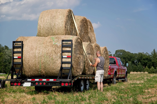 Man strapping down the hay bales stacked on a trailer for hauling.