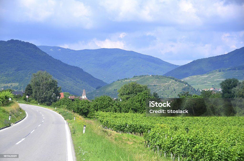 Guida attraverso i vigneti della Wachau Valley, Austria. - Foto stock royalty-free di Ambientazione esterna