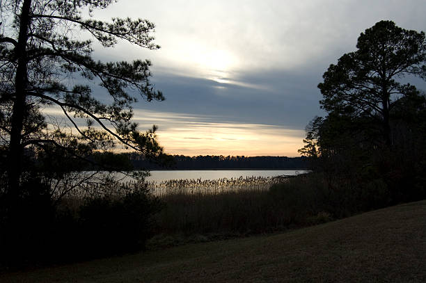 istock James River, Virginia sunset with marsh grass and pines 181142734