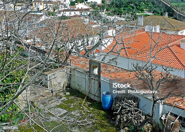 Foto de Jardim Com Cilindro Azul Na Histórica Cidade Portuguesa De Obidos e mais fotos de stock de Arbusto