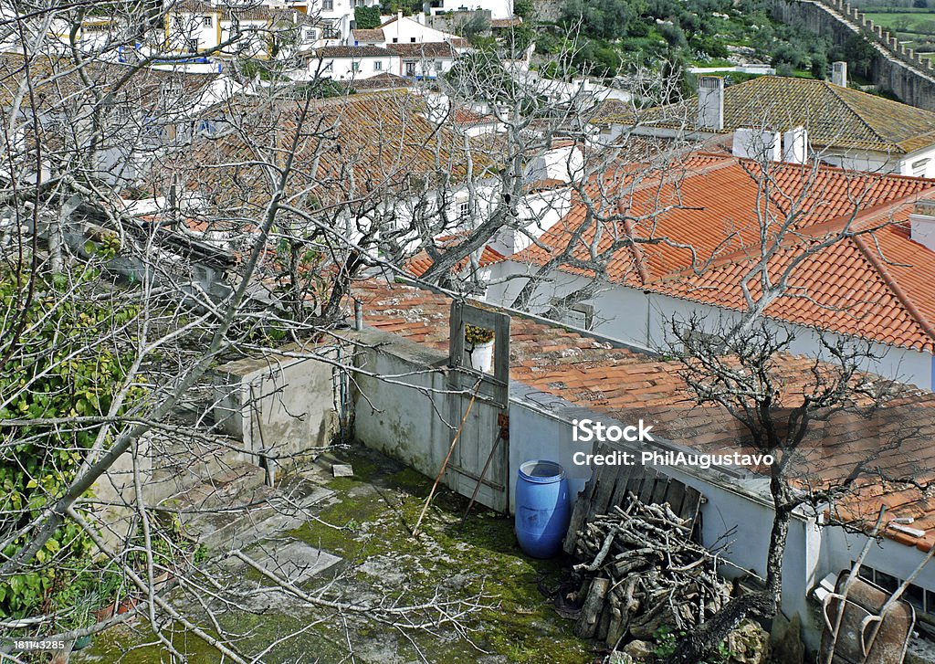 Сад с голубой Баррель в историческом португальский город Obidos - Стоковые фото Без людей роялти-фри