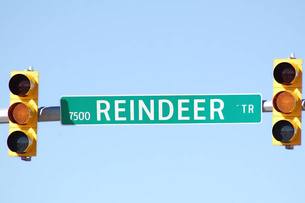 istock Yellow Reindeer Trail 181143340