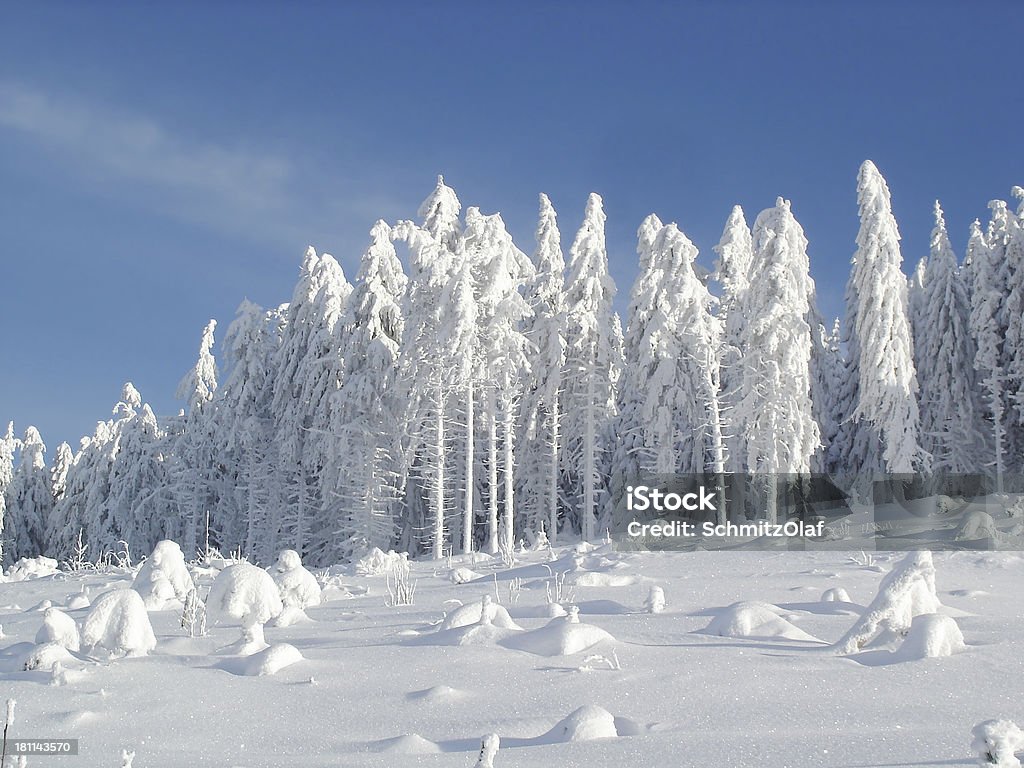 landcape d'hiver avec la neige et de sapins dans la Forêt noire - Photo de Blanc libre de droits