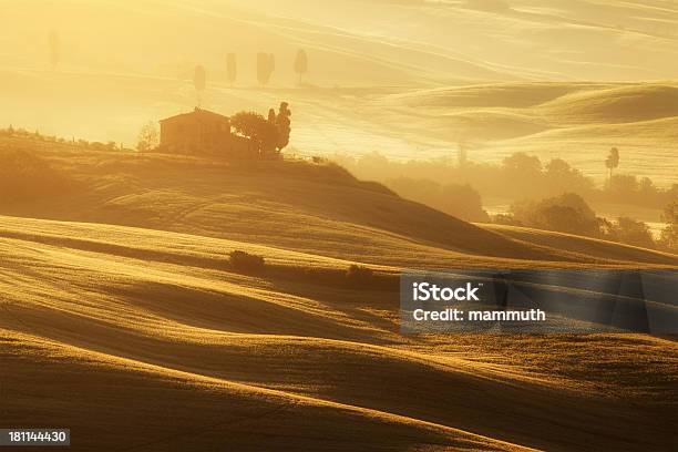 Mañana En Toscana Foto de stock y más banco de imágenes de Agricultura - Agricultura, Aire libre, Ajardinado