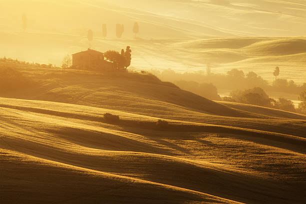 istock morning in Tuscany 181144430