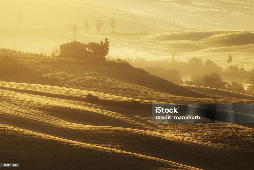 Manhã na Toscana - Foto de stock de Agricultura royalty-free