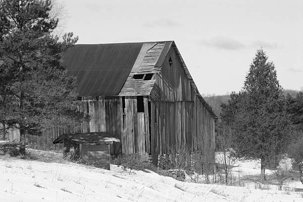 Barn Black and White stock photo