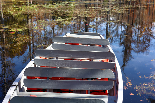 A white row boat in a swamp