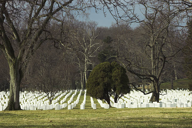 istock Arlington Cemetary graves of soldiers 181144703