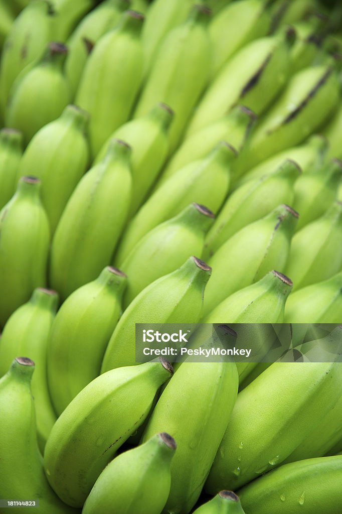 Свежий зеленый Плантайн Банановый пучка Полный кадр - Стоковые фото Плантайн роялти-фри
