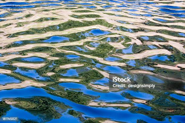 Clark Fork Water Incredible Travel Photo Stock Photo - Download Image Now - River, Animal Markings, Aquatic Mammal