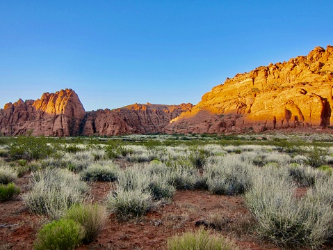 Beautiful 1.6-km loop hike along the Hidden Pinyon Trail near Dammeron Valley, Utah, in springtime. The trail takes you into the heart of Snow Canyon State Park below the Petrified Dunes and directly to the Hidden Pinyon Overlook.