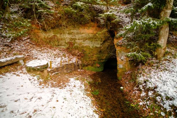 l’eau s’écoule d’une petite ouverture de grotte, formant une source naturelle. parc naturel de skanaiskalns. novembre est la première neige à mazsalaca en lettonie. - cave fern flowing forest photos et images de collection