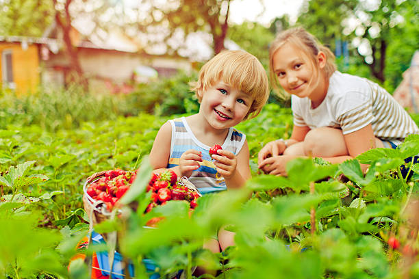istock Boy and girl with strawberry 181145679