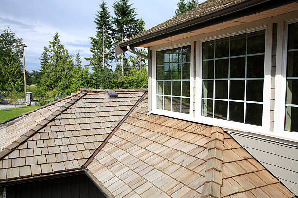 Shape And Texture Of A New Cedar Shingle Roof Close up looking down of New Cedar Shingle roof,gutters ,eaves and paned windows on a new home. cedar stock pictures, royalty-free photos & images