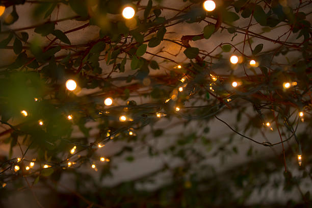 istock christmas tree lights and vines decoration 181146256
