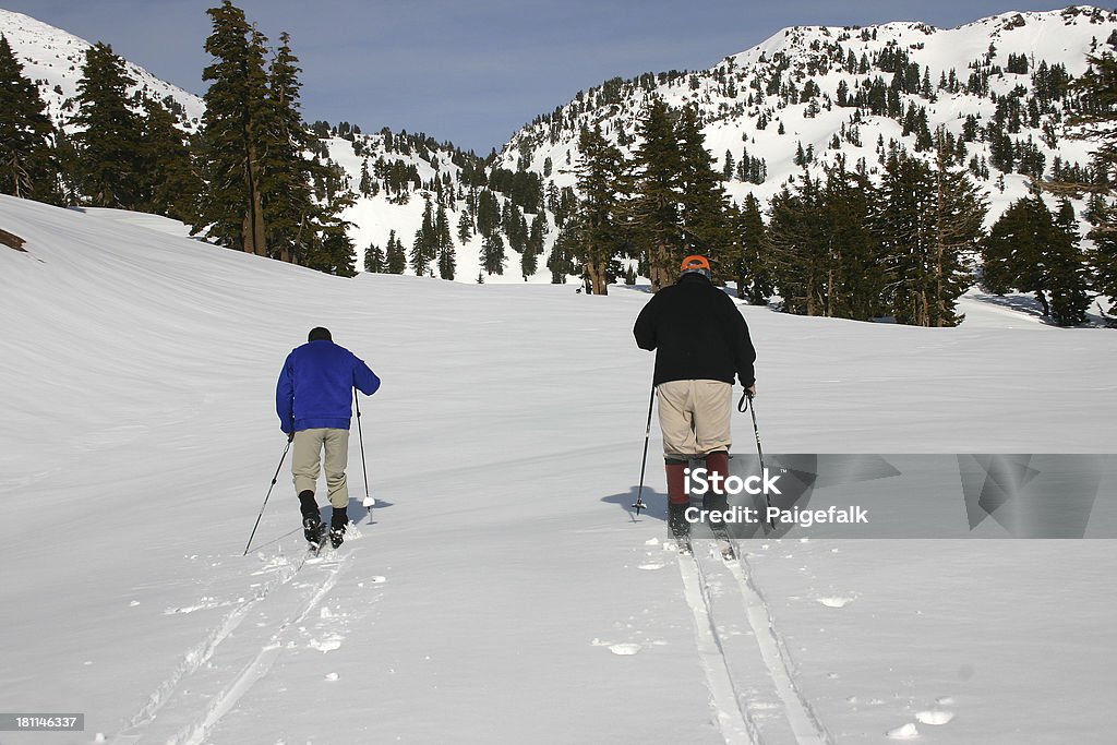 Esquiadores Cross-Country - Foto de stock de Adulto royalty-free