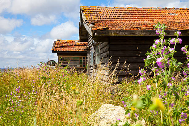 istock Gujan-Mestras, France 181147051