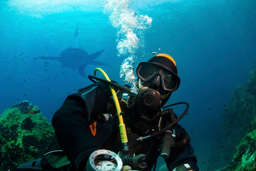 Scuba Diver. Underwater scene with diver in blue.