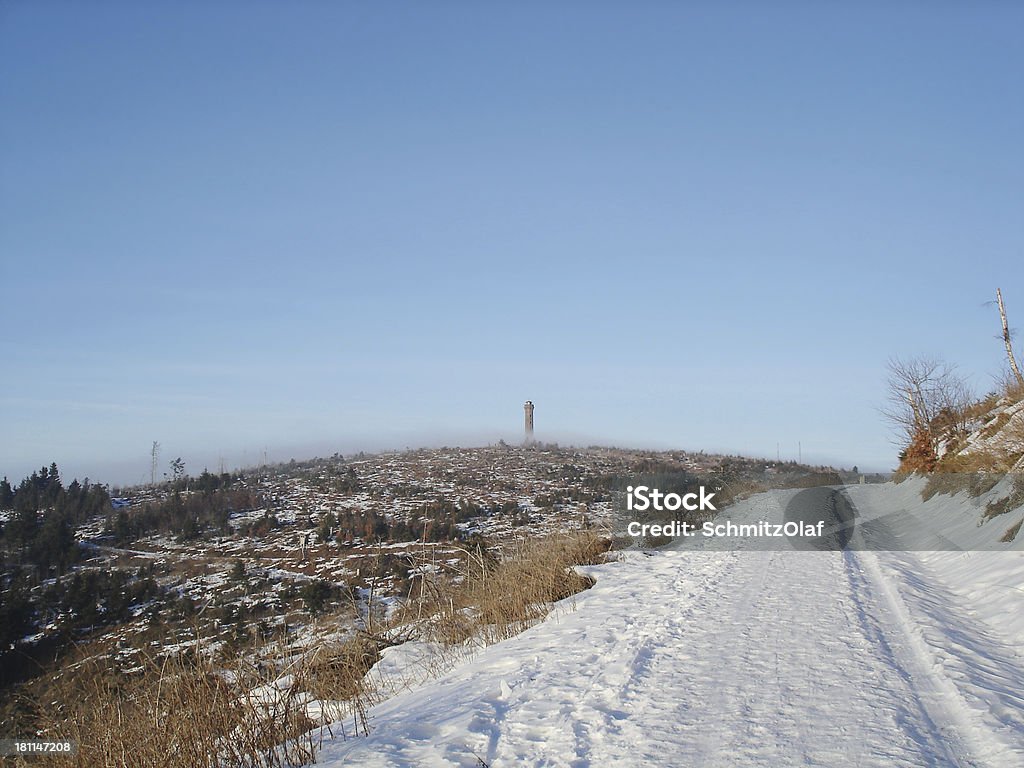 winter landcape e abeto com neve na floresta negra - Foto de stock de Azul royalty-free