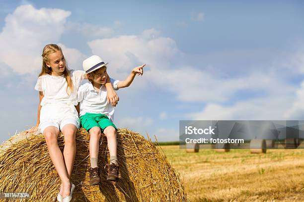 Kinder Im Heuhaufen Stockfoto und mehr Bilder von 10-11 Jahre - 10-11 Jahre, 6-7 Jahre, Agrarland