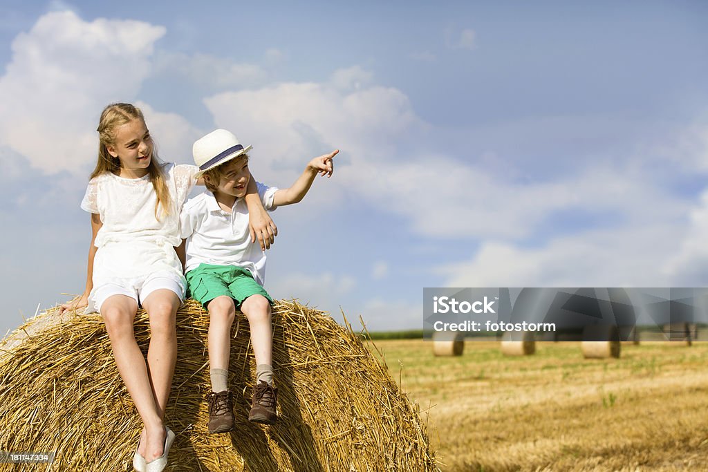 Crianças no celeiro - Foto de stock de 10-11 Anos royalty-free