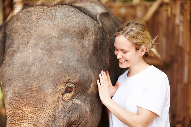 istock Young researcher with Asian elephant calf - Thailand 181147378