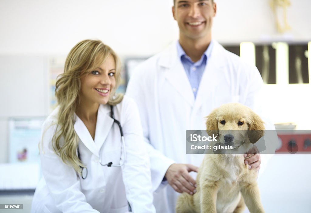 Veterinari con cane sano - Foto stock royalty-free di Abbracciare una persona