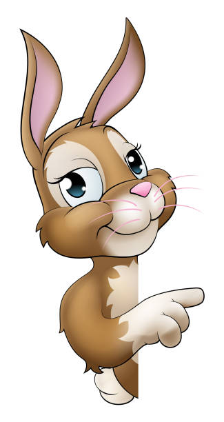 840+ Pointing Bunny Rabbit Stock Illustrations, Royalty-Free Vector  Graphics & Clip Art - iStock