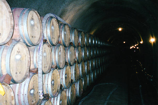 wine barrels stock photo