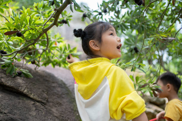 Smiling young asian woman embracing a large tree in a public park, demonstrating her deep connection with nature and promoting environmental awareness
