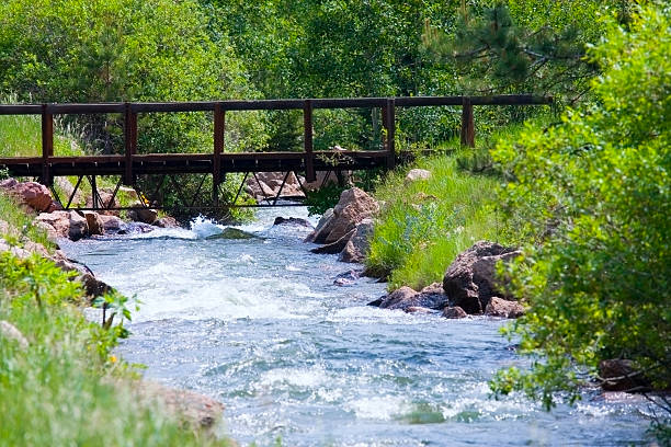 istock Bridge at Rampart Range Reservoir 181148517