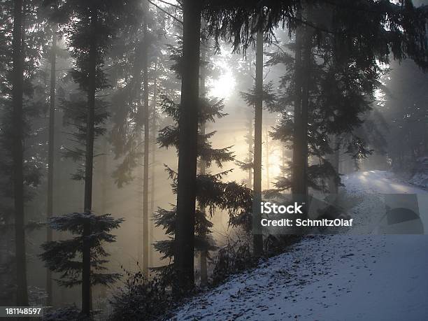 Inverno Landcape - Fotografie stock e altre immagini di Abete - Abete, Ambientazione esterna, Bianco