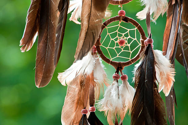 porte-bonheur indien dans la lumière du soleil - autuum photos et images de collection