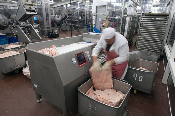 肉挽き器製造機械工場でのお食事。 - cutting measuring engineering engineer ストックフォトと画像