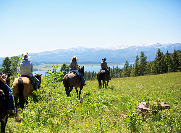 istock People Trail Riding On Horseback 181148884