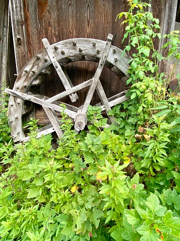Old wooden wagon wheel reclining on wooden wall. Wheel with boardwalk wall on background and cobbles on foreground. Place for your text. Wheel leaning up against wall.