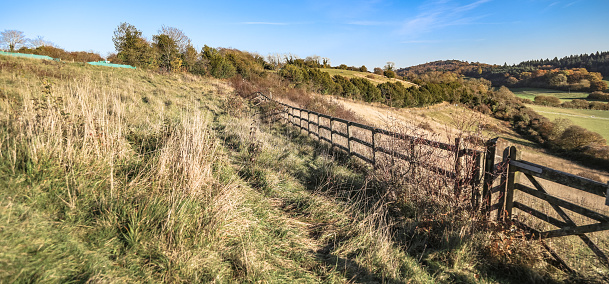 Pewley Down viewing point fence autumn colours Guildford Surrey England Europe