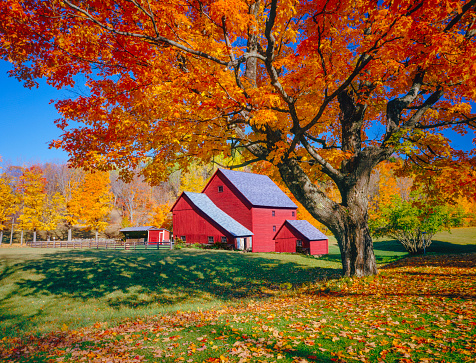 Autumn country side with rolling hills in Vermont with old weathered barn