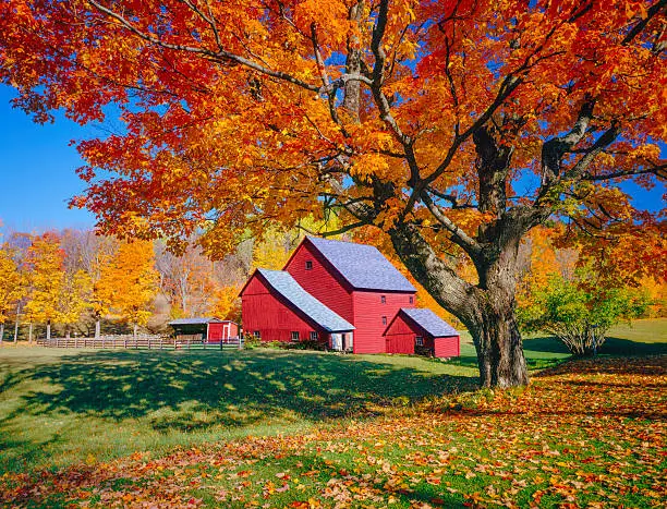 Autumn country side with rolling hills in Vermont with old weathered barn