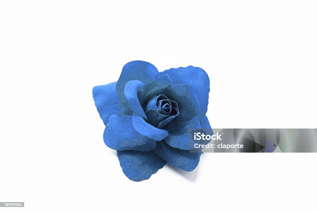 Azul rosas - Foto de stock de Falso libre de derechos