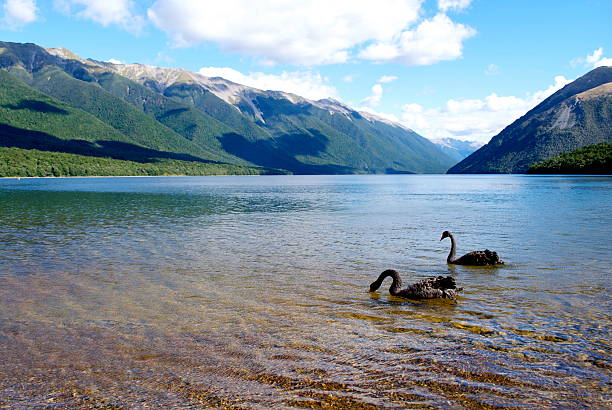 Asian tourist practicing martial arts side leg kick at Roy's Peak Lake Wanaka New Zealand