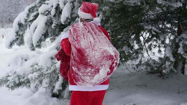 Santa Claus with Big Red Bag of Gifts Walking at Winter Snowy Forest. Funny Santa Hurries to Congratulate People among a Snow Covered Trees. Merry Christmas and New Year Holiday Concept. Rear View.