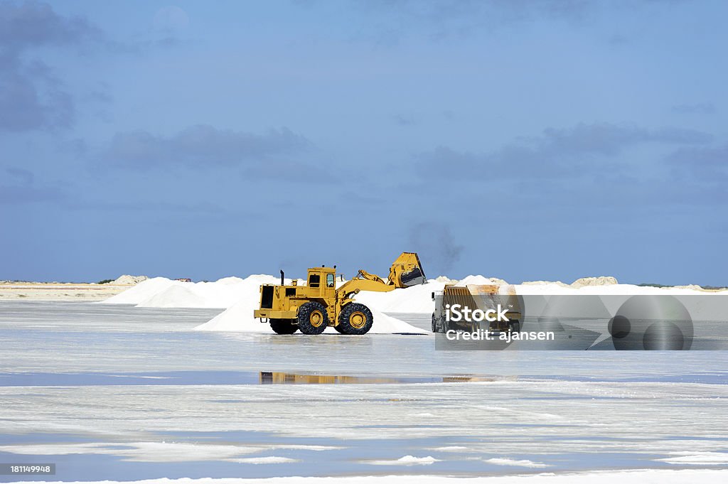 Chenille au travail sur saline, bonaire - Photo de Affaires libre de droits