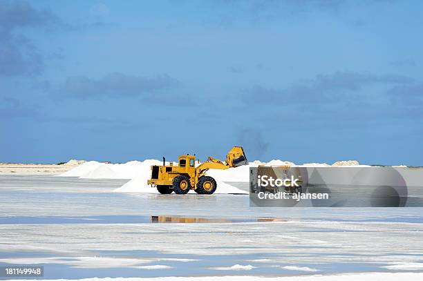 Bruco Di Lavoro A Salina Bonaire - Fotografie stock e altre immagini di Affari - Affari, Ambientazione esterna, Assaggiare