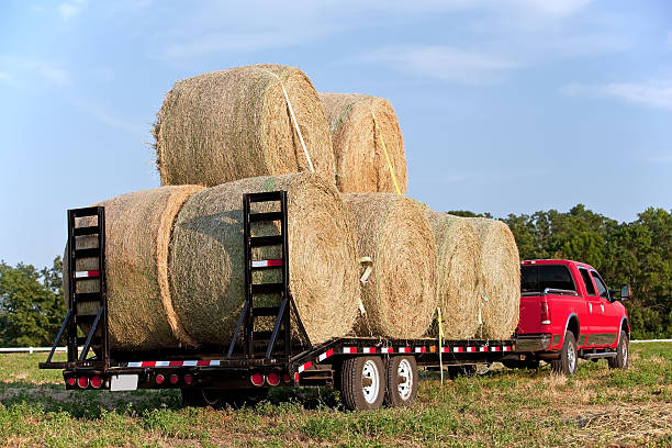 сено bales прыгает вниз на трейлер - bale hay field stack стоковые фото и изображения