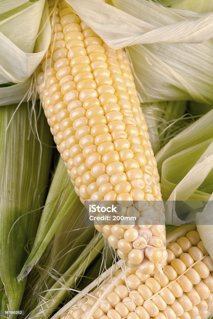 Lato kukurydzy - Zbiór zdjęć royalty-free (Bez ludzi)