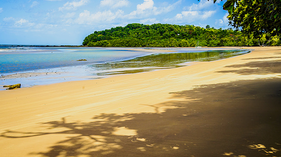 A view along a calm Far North Queensland beach looking over the bay and towards a stand of rainforest during the mid-afternoon