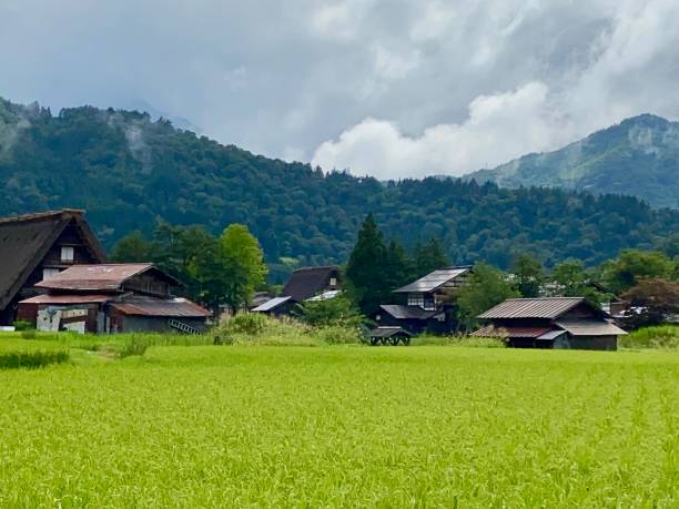 istock Japan - Shirakawa-go village 1811506557